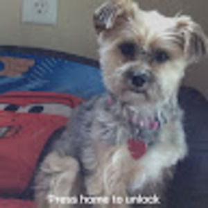 Meet your Posher, Andrea